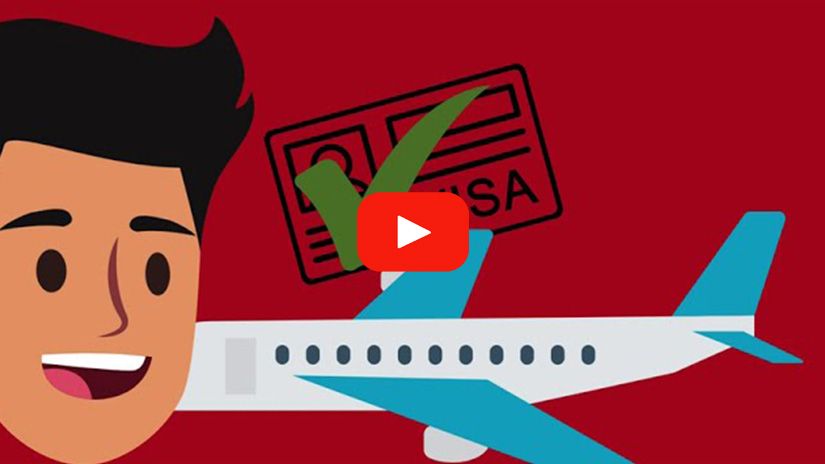 Play Video - Briefly Explained: The Visa Process