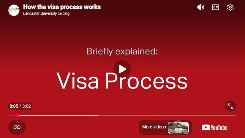 Play Video - Briefly Explained: The Visa Process